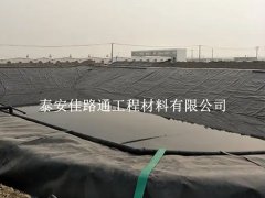 沼气池防渗土工膜：绿色能源的安全守护者